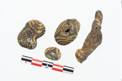 Foto von Glasaugenperle (NHMW-PRAE-025203)